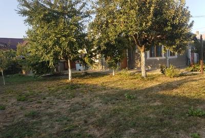 Casă individuală cu 3 camere în Sud-Est