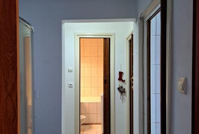 Drumul Taberei Raul Doamnei 2 camere decomandat centrala, AC mobilat si utilat - 4
