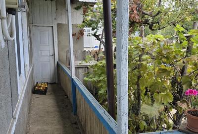 Casă cu 3 camere cu Teren 3000 Mp în Deleni - 2
