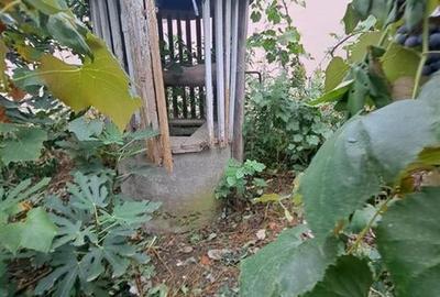 RECO  casa batraneasca Salard - 2
