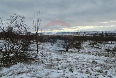 Teren de 10000 mp, în Rădășeni - 10