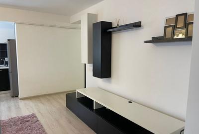 Apartament cu 3 camere semidecomandat în Valea Lupului - 2