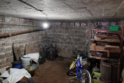 Casa 3 camere libera la vanzare TARLUNGENI - 18