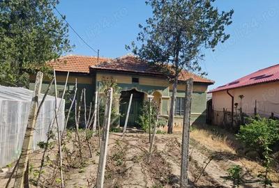 Casă cu 5 camere cu Teren 3937 Mp în Ianca - 13