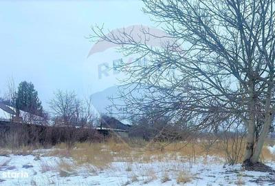 Spațiu comercial, în Letea Veche - 7