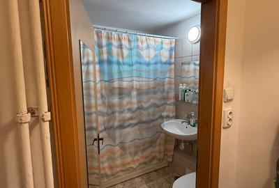 Apartament cu 2 camere semidecomandat, mobilat în Berceni - 12