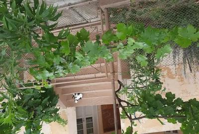 Casă cu 6 camere în Alioș - 4