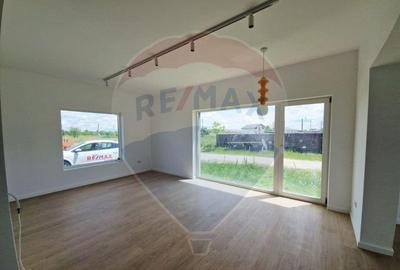 Casa / Vila - 132,5 mp , teren - 264 mp / zona Carcea - 2