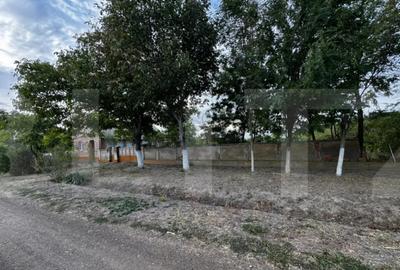 Casă cu 4 camere cu Teren 3892 Mp în Cebza - 14