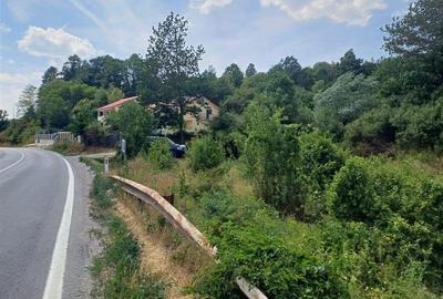 Teren Construcții intravilan de 2000 mp, în Calea Caransebeșului - 14