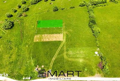 Teren de 600 mp, în Sadu - 4