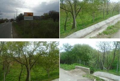 Teren extravilan livada cota parte 1/2 Candesti ID: R1965236 - 2