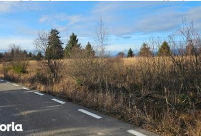 Teren de 42048 mp, în Sărmaș - 4