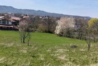 Spațiu comercial, în Bănești - 4