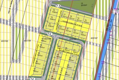 Teren Construcții intravilan de 540 mp, în Bucovăț (Remetea Mare) - 4