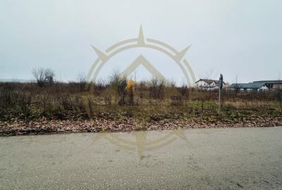 Teren Construcții intravilan de 26651 mp, în Corbeanca - 3