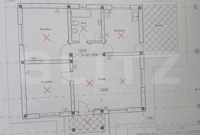 Casă cu Teren 500 Mp în Vorovești - 3