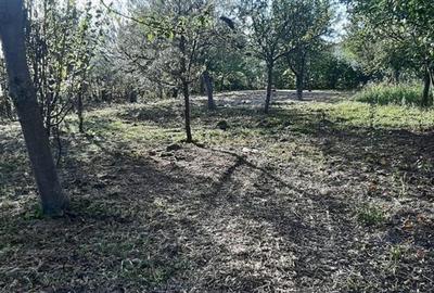 Gradina de vanzare intre Cristian si Orlat Gradina de vanzare intre Cristian si Orlat - 2