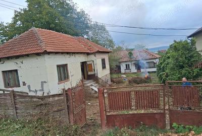 Casă cu 3 camere în Argeșelu - 1