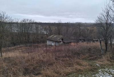 Teren de 12000 mp, în Vladnic - 4
