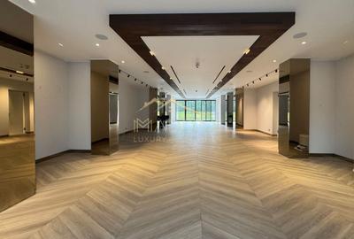 Spațiu comercial, de 376 mp, în Kiseleff - 1