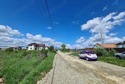 Vanzare loturi teren intravilan, situate in cartier Preajba, str. Frasinetului - 1