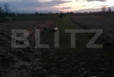 Teren de 2900 mp, în Central - 2