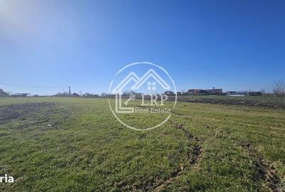 Spațiu comercial, în Creața - 3