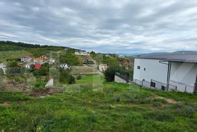 Casa cu 5 camere, 300 mp, teren 27 ari, Valea Rusului - 2