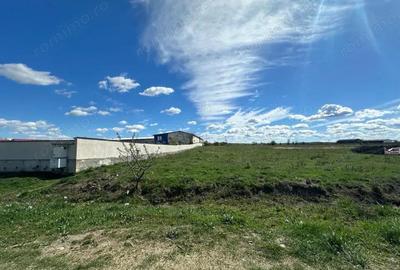 Inchiriere teren intravilan situat in Targu Jiu - strada Narciselor - 3