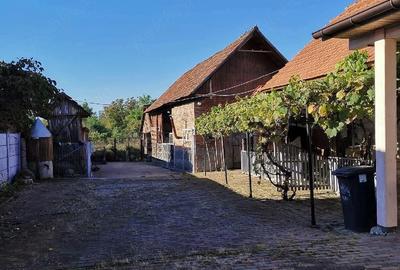 Casă cu Teren 1500 Mp în Teiu