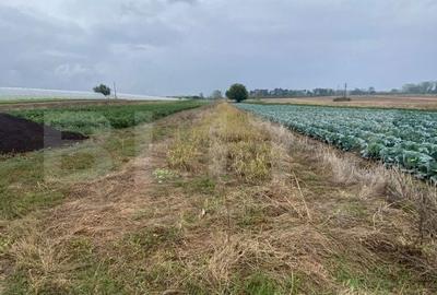 Teren de 4700 mp, în Băleni - 2