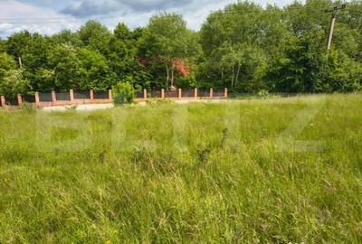 Teren în Teișani - 5