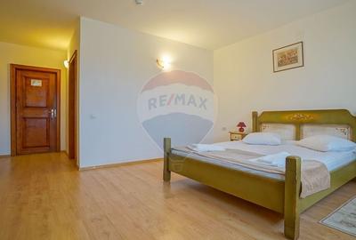 Hotel/Pensiune, de 2,950 mp, în Pănicel - 43