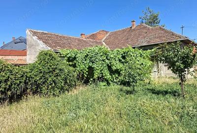 BRASADAS vinde casa 3 cam cu teren 5 ari in 14 Mai. - 5