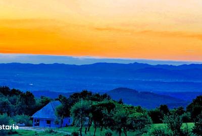 Spațiu comercial, în Copalnic - 5