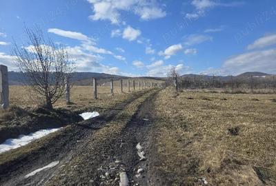 Teren de 3600 mp, în Central - 5