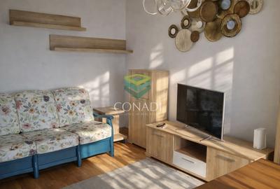 Apartament cu 2 camere semidecomandat în Domenii - 6