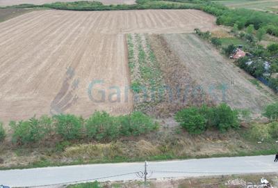 Teren Construcții intravilan de 1769 mp, în Bicaci - 10