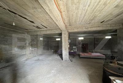 Casa de vanzare, 280 mp utili, 480 mp teren, Plaiul Vulcanes - 7