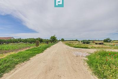 Teren agricol extravilan de 5000 mp, în Gai - 3