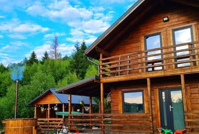 Cabana de vanzare – o oaza de liniste in Muntii Apuseni – Valea Ierii, jud. Cluj - 2