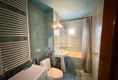 Apartament cu 3 camere decomandat, mobilat în Buziașului - 8