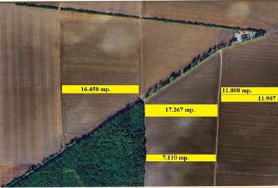 Gradistea, Tarla 164, teren 7.110 mp. lipit de Padure - 2