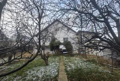 Tomesti - Osoi, vila cu spatiu comercial la parter , 2400mp teren cu iaz si pomi - 1