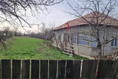 Casă cu Teren 2185 Mp în Stoicănești - 1