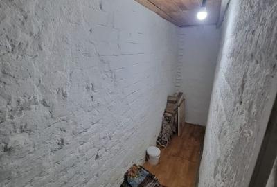 Delfinariu -casa de caramida - 19