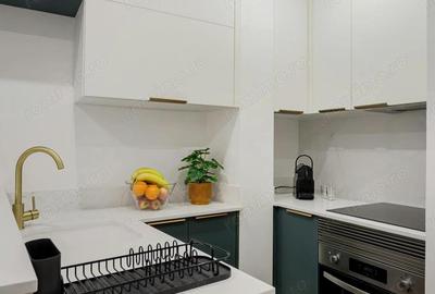 De inchiriat apartament cu o camera zona Take Ionescu - 3