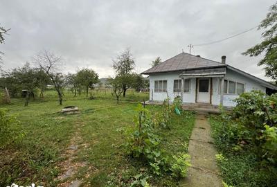 Teren de 1300 mp, în Central - 2