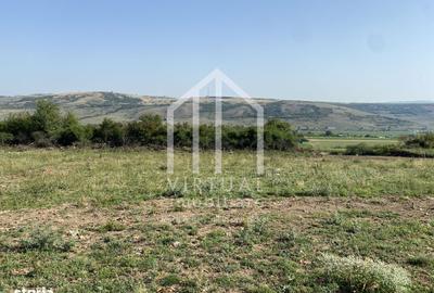 Spațiu comercial, în Daia - 3